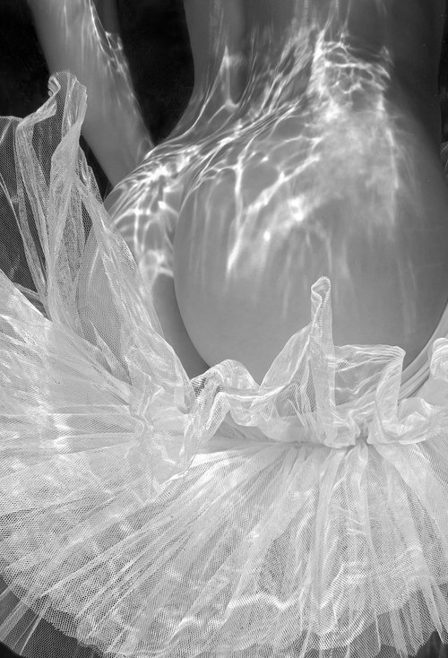 Tutu Skirt - underwater photograph - print on paper 22" x 36" by Alex Sher