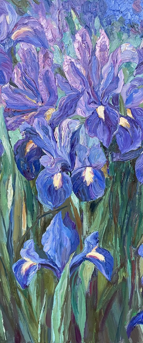Irises by Nadezda Stupina