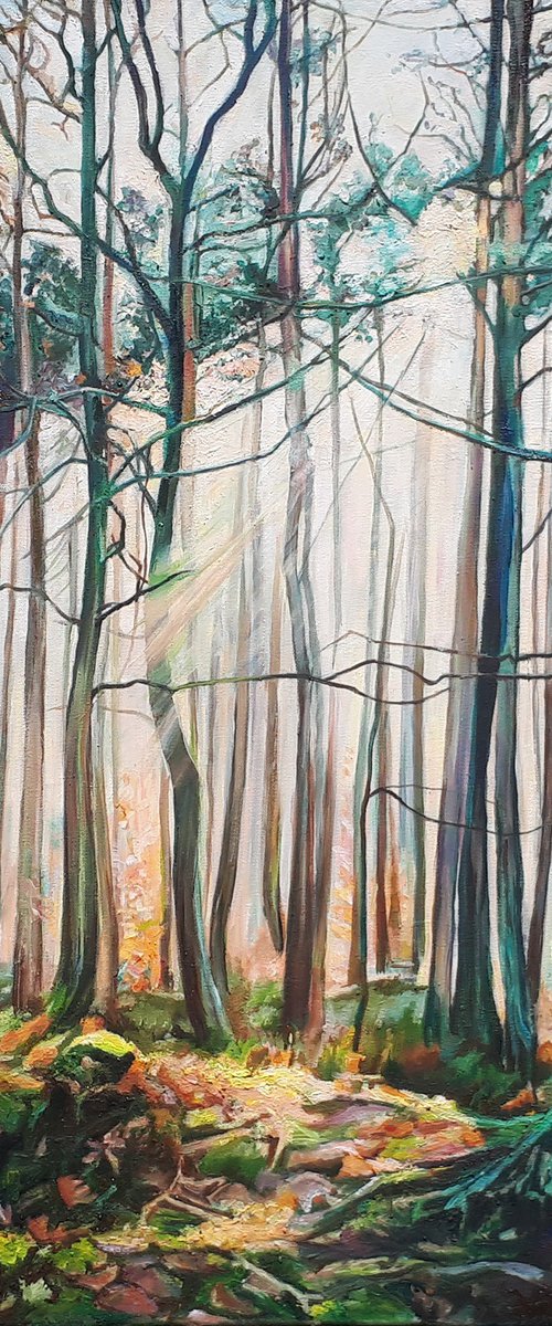 Deep Forest by Katarzyna Sikorska-Gawlas