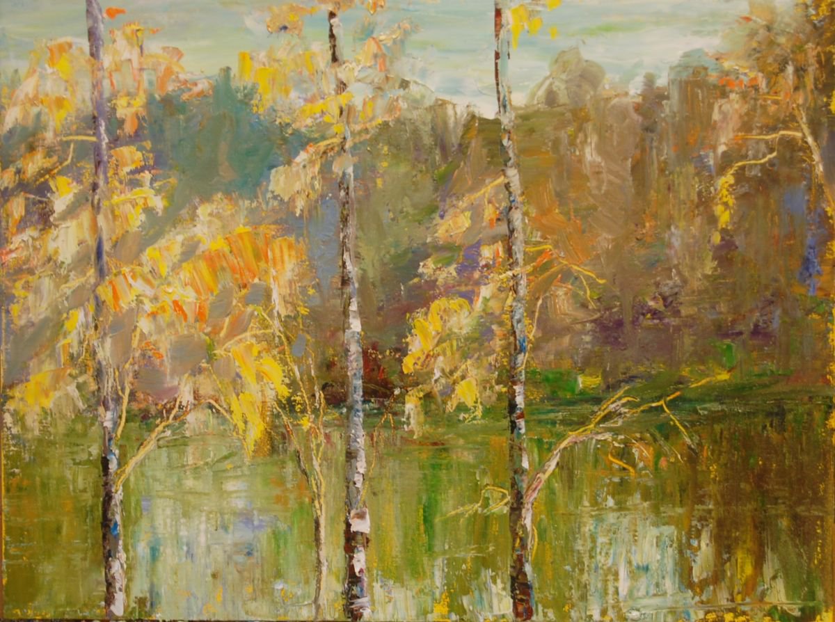 View through the birch trees by Mikhail Nikitsenka