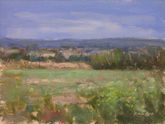 Fields in Haute-Provence