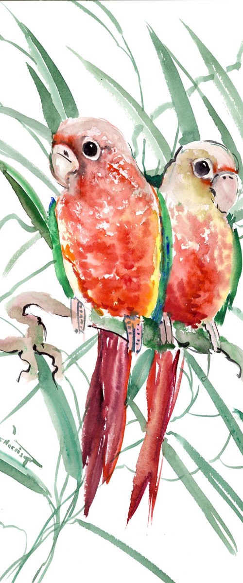 Pineapple Conure Parakeet, Parrot painting by Suren Nersisyan