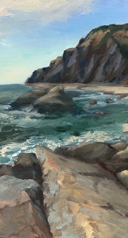 Dana Point Headlands by Grace Diehl