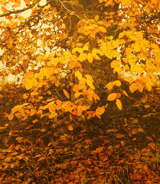 Autumnal 1