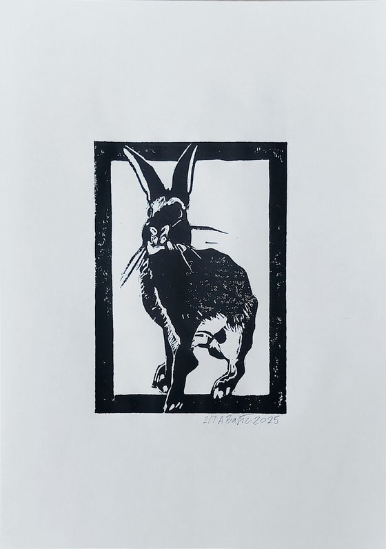 Rabbit 2/7