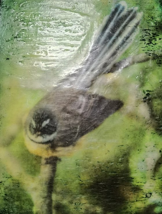 Fantail Perch