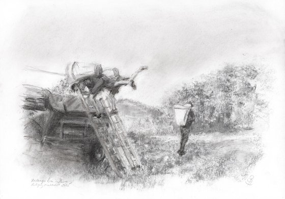 Vendanges 6
