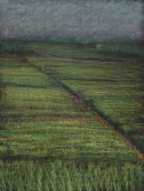Ricefields, Yilan by David Lloyd