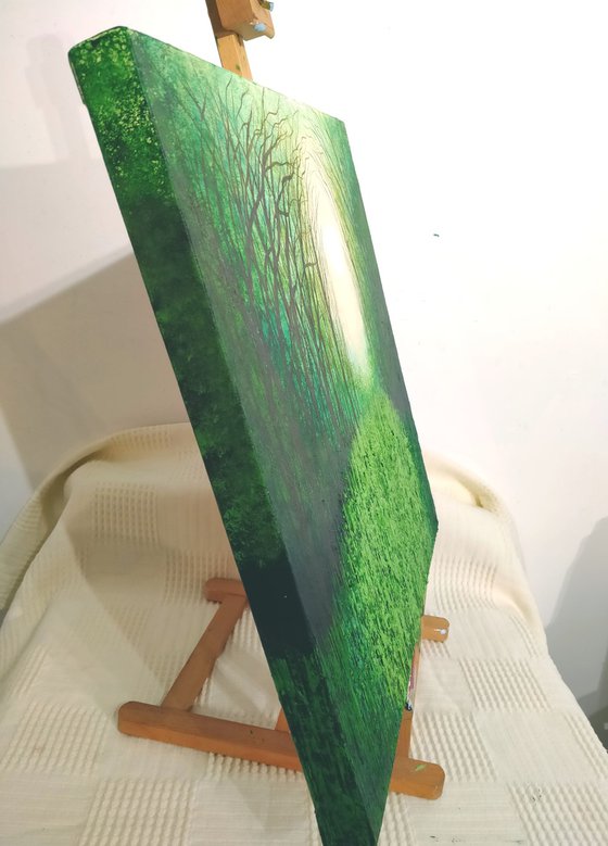 The Tangled Emerald Wood