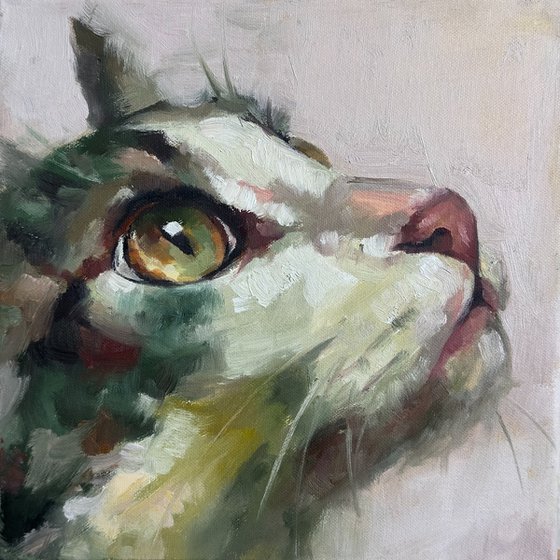 Green Cat