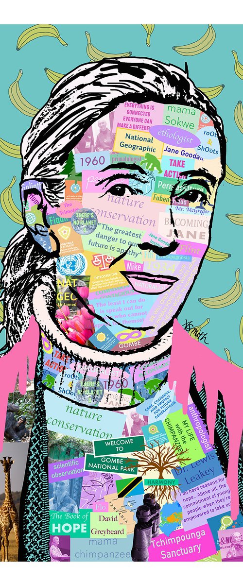 Jane Goodall "Trailblazer" limited edition pop art portrait by Amy Smith