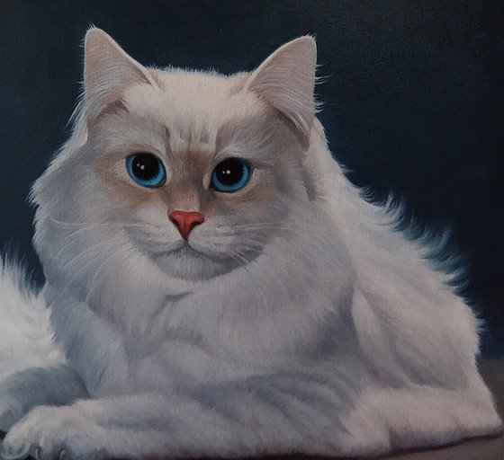 White cat (40x50cm, oil painting, ready to hang)