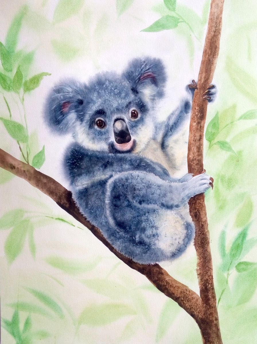 Cute Koala Watercolor Koala Koala Painting A Artfinder