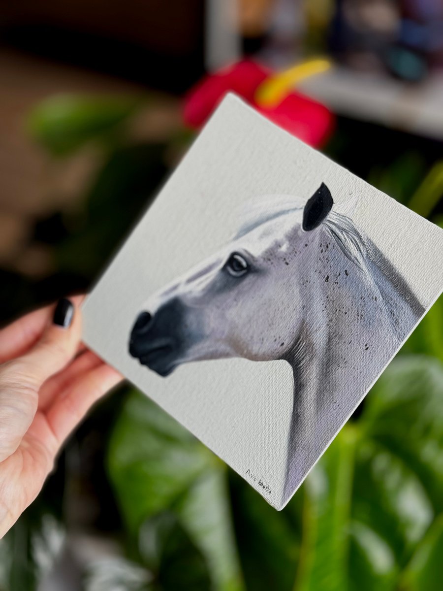 Horse Portrait 11 by Anastasia Parfilo