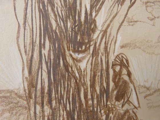 The Tree Monster
