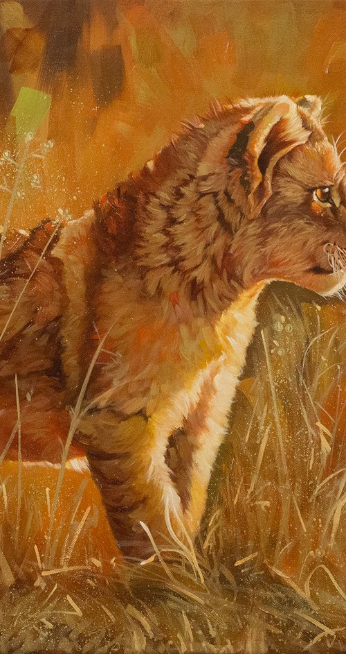 Lion cub by Yue Zeng