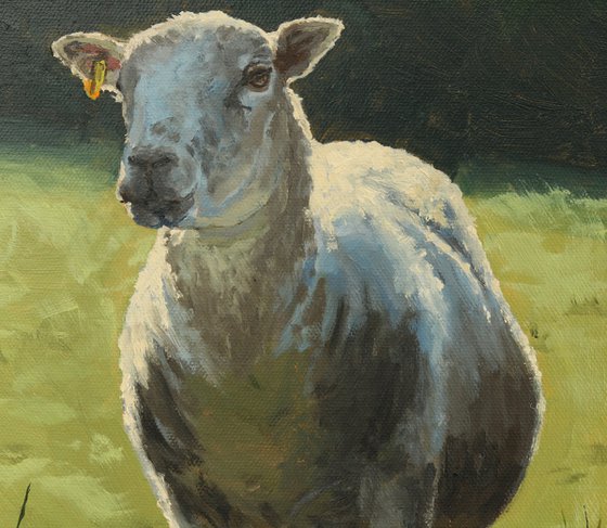 Three Sheep