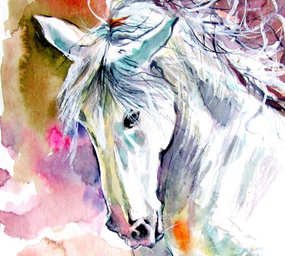 Andalusian horse collection