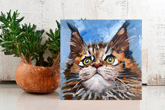 Tabby Cat Maine Coon