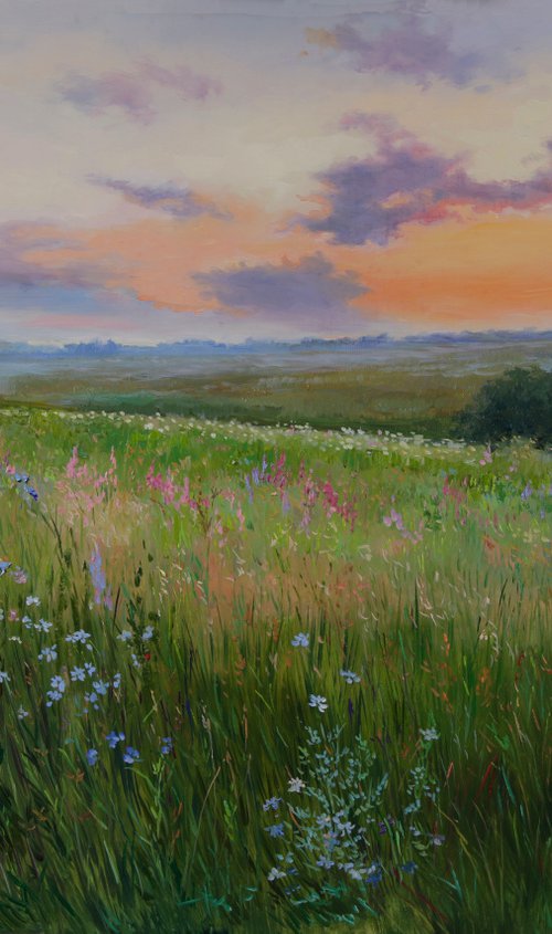 Field of flowers on sunrise by Eduard Panov