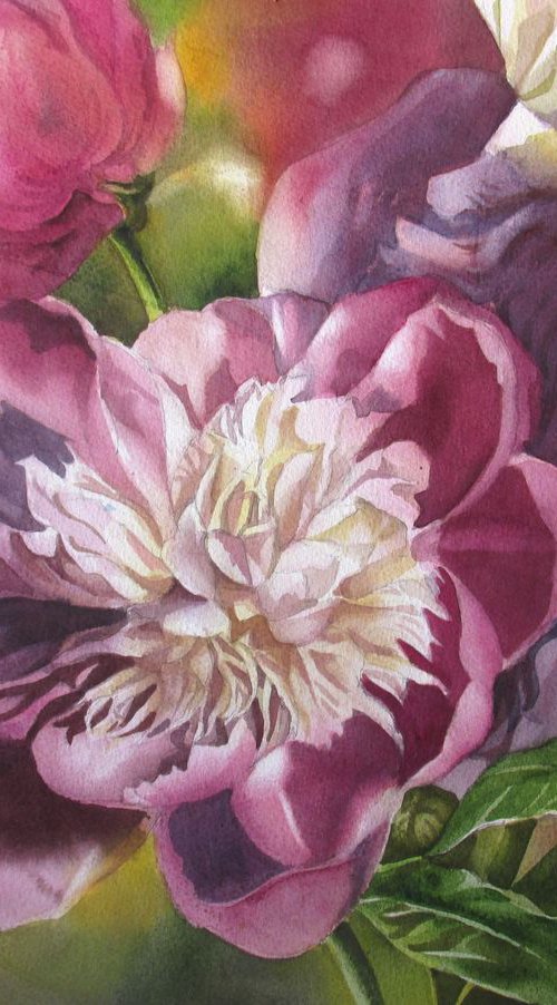 Peony with iris by Alfred  Ng