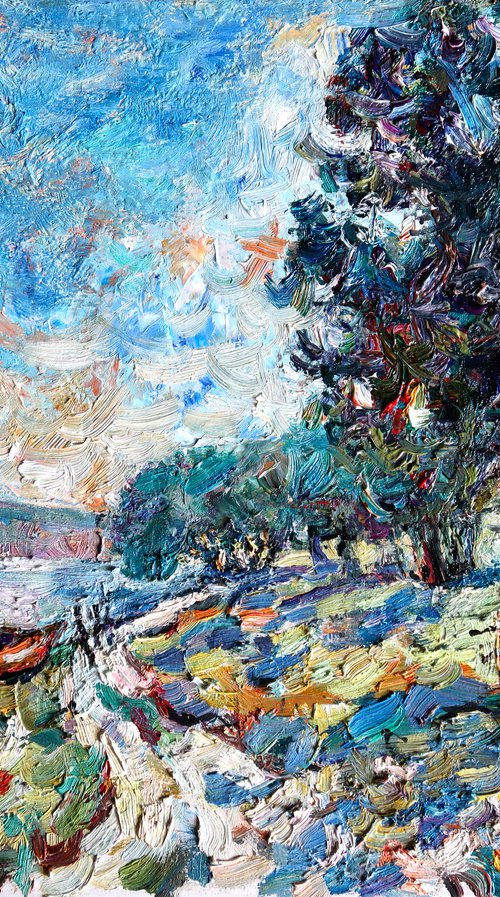 The road along the Dniester river. by Nikifor Swiristuhin