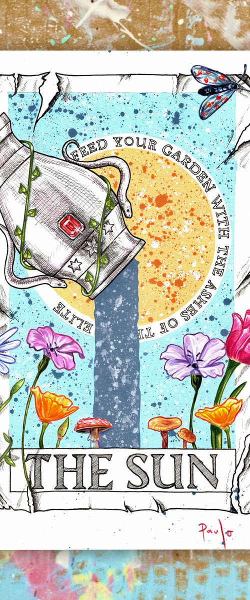 Feed your garden by Paul Ward