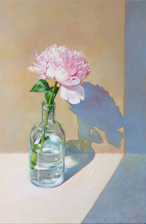 "Morning peony." still life peony pink summer  white liGHt original painting  GIFT (2020)
