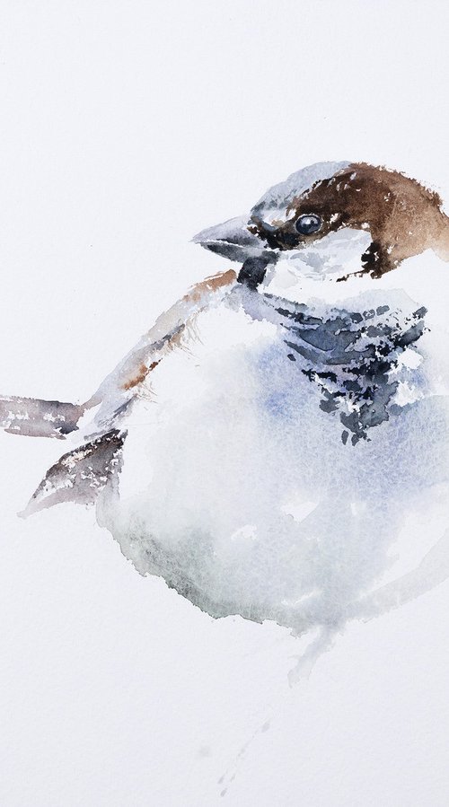 Sparrow by Andrzej Rabiega