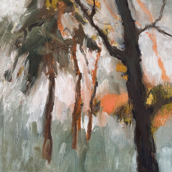 Autumn Trees