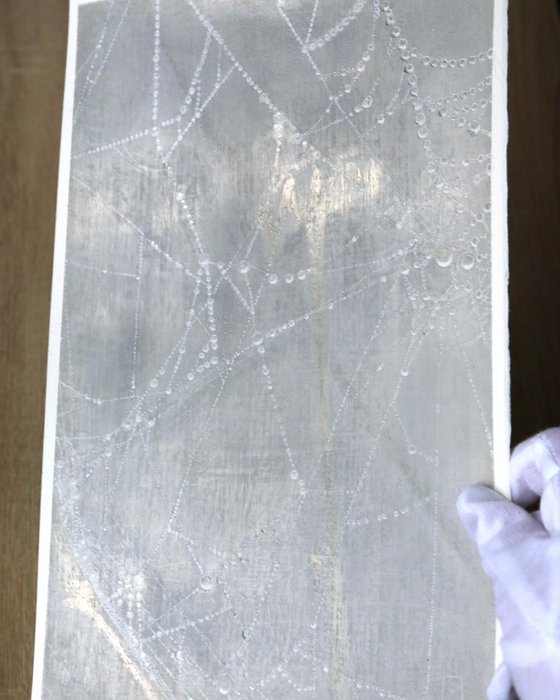 Spiderweb: Crystal Lace