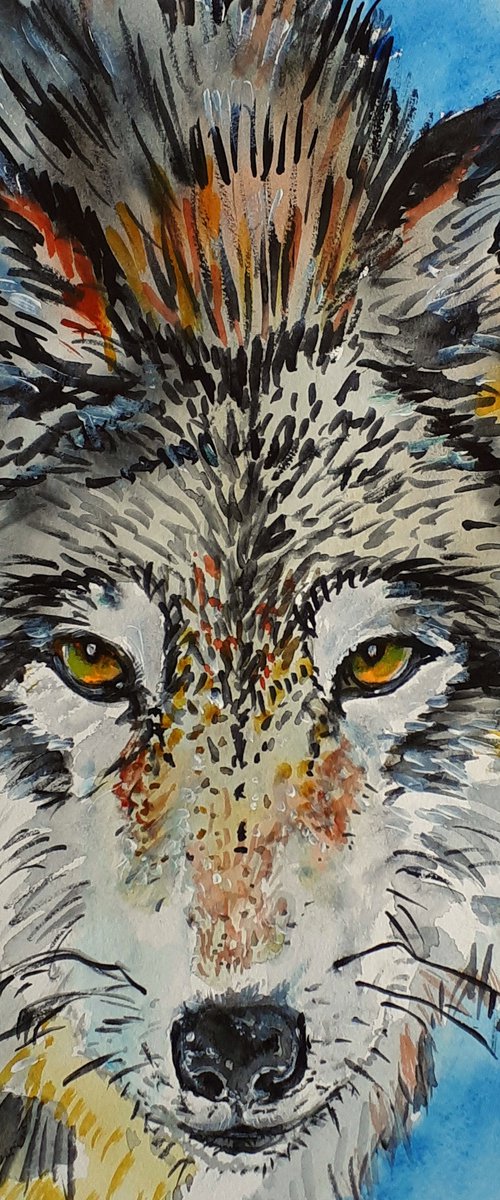 "Wolf" by Marily Valkijainen