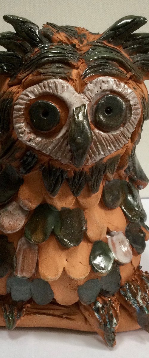 Wise Owl by Heather Hunt