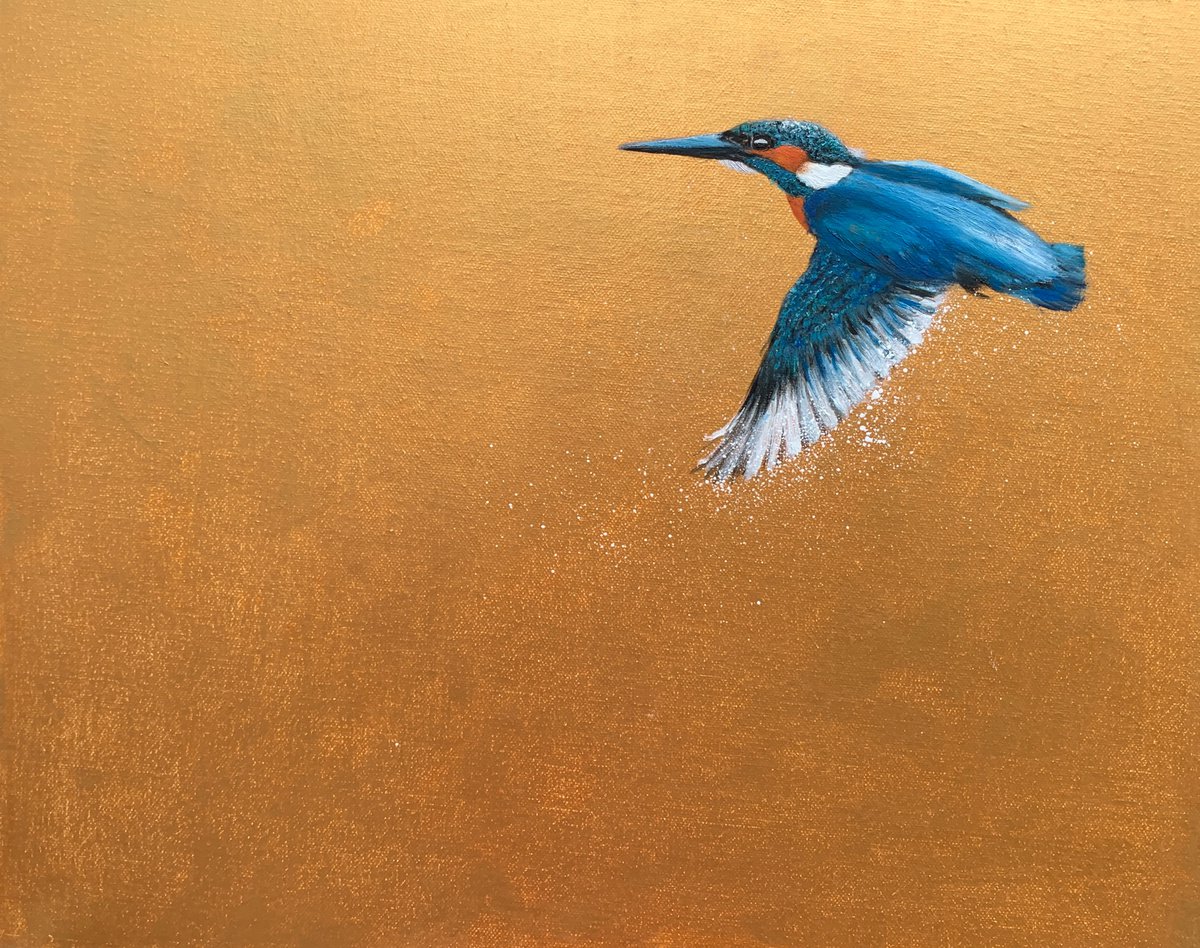Flight Of The Kingfisher III by Laure Bury