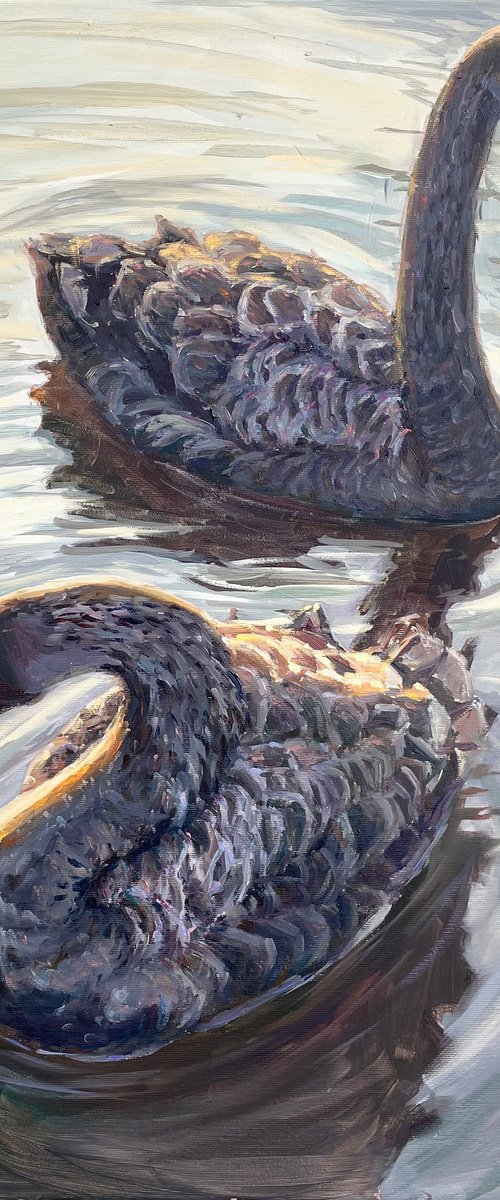 "Black swans" by Evgeny Chernyakovsky