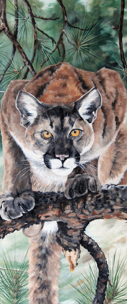 Wildlife - Mountain Lion - Cat - "Poised to Pounce" by Katrina Case