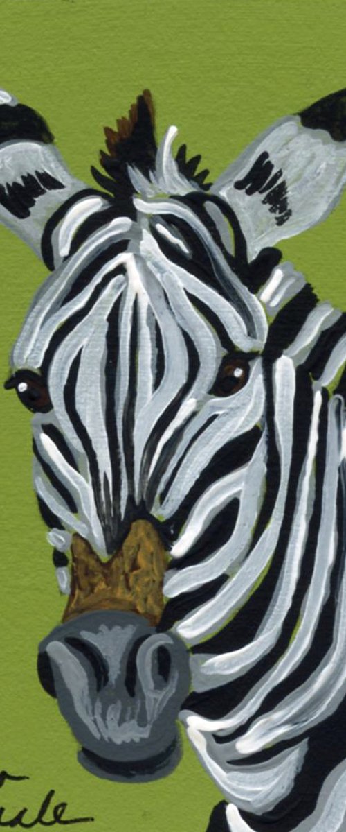 Zebra by Carla Smale