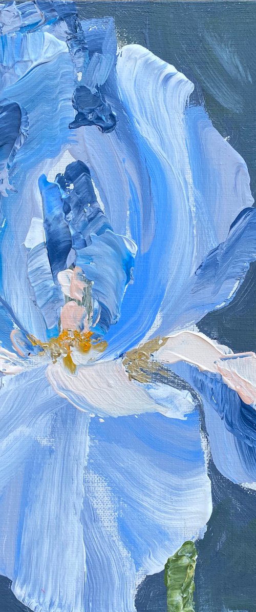 BLUE IRIS by Oksana Petrova