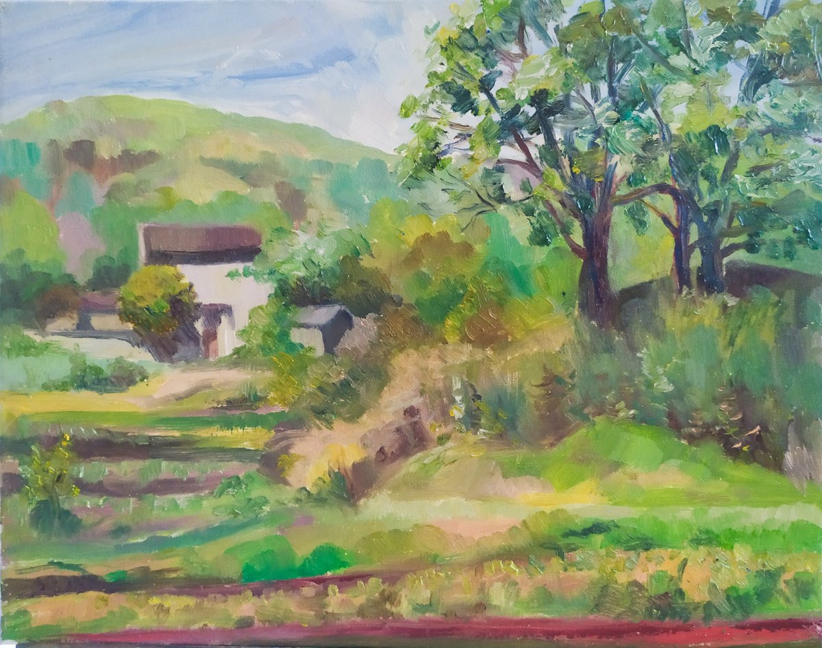 Original oil painting - Rural landscape by Daria Mamonova