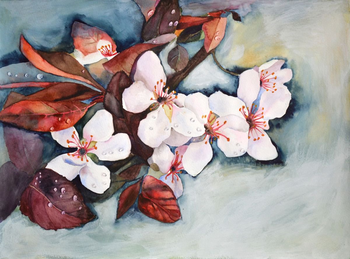 Red Plum Blossom by Anna Masiul-Gozdecka