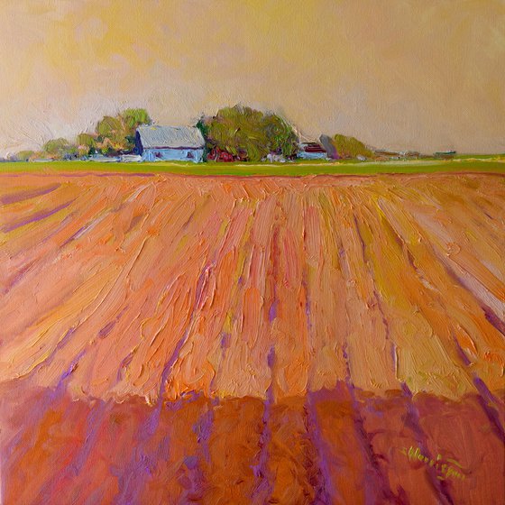 Midwest. Farmland in Evening