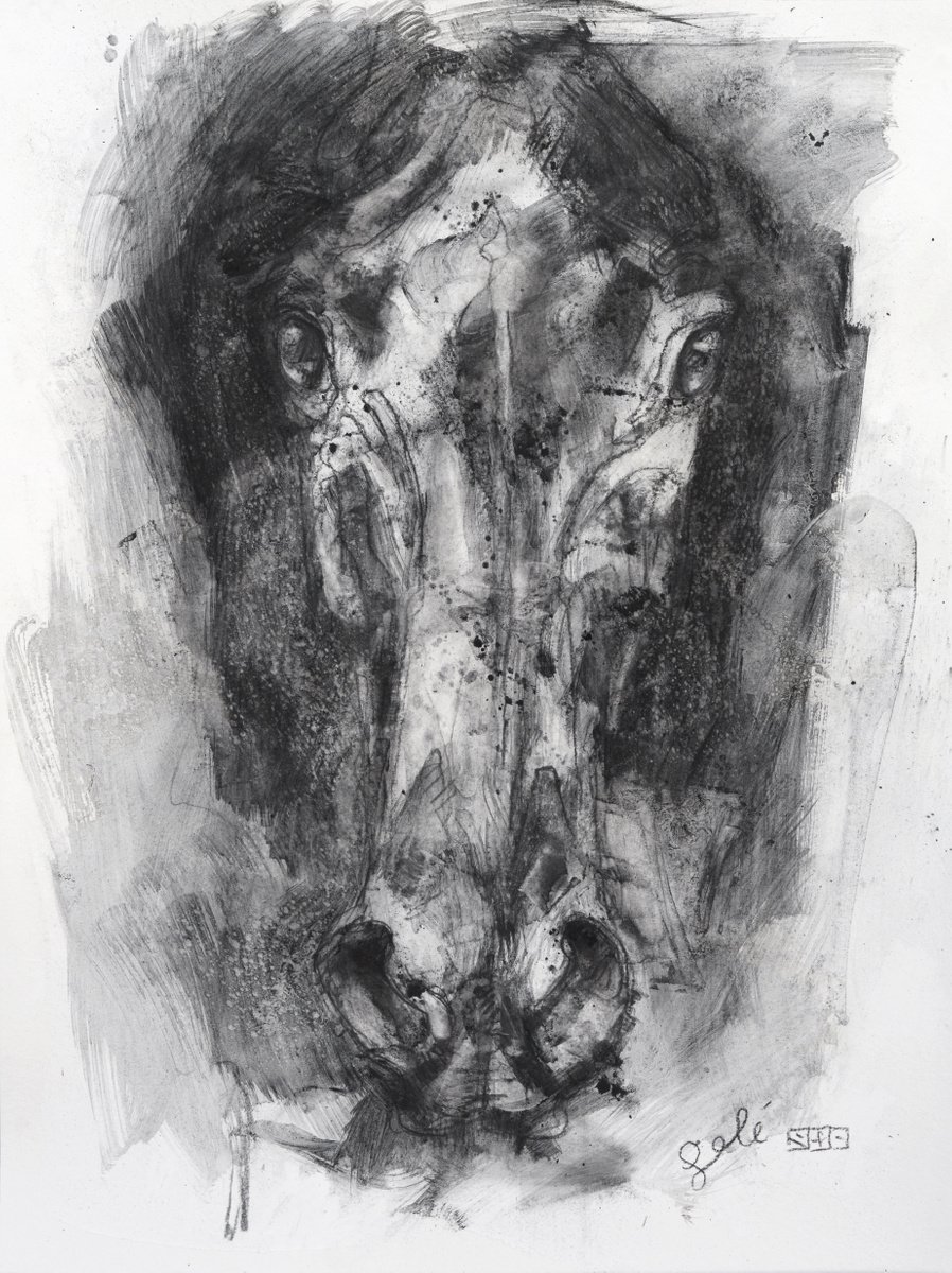 Expressive Animal Charcoal Drawing By Benedicte Gele, 17 X 22, Face To Face 7P, Original Artwork