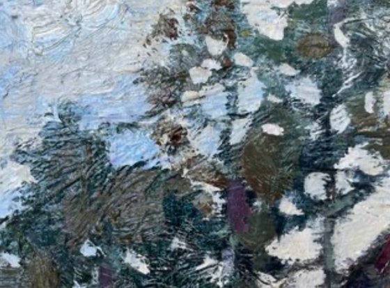 Trees grow on the stones too