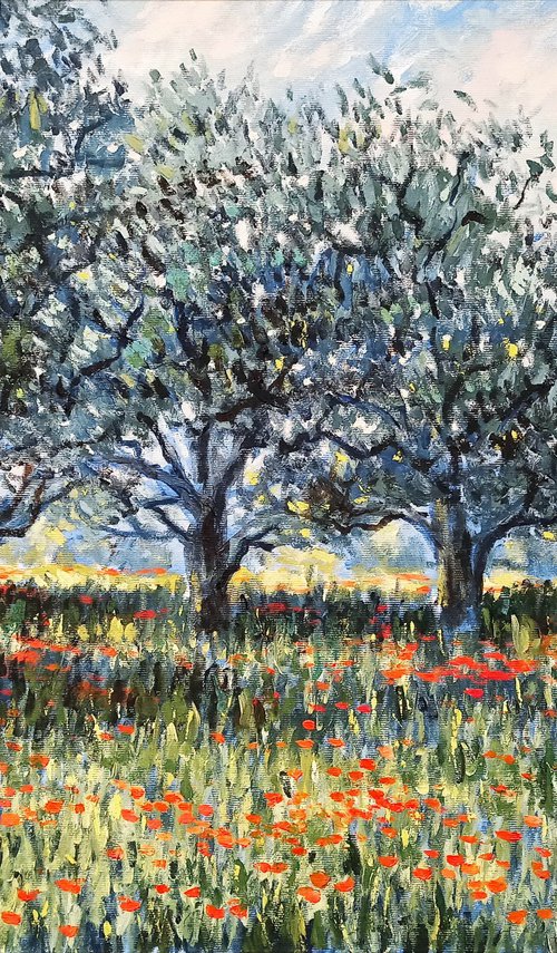 Olive grove 2 by Oleh Rak