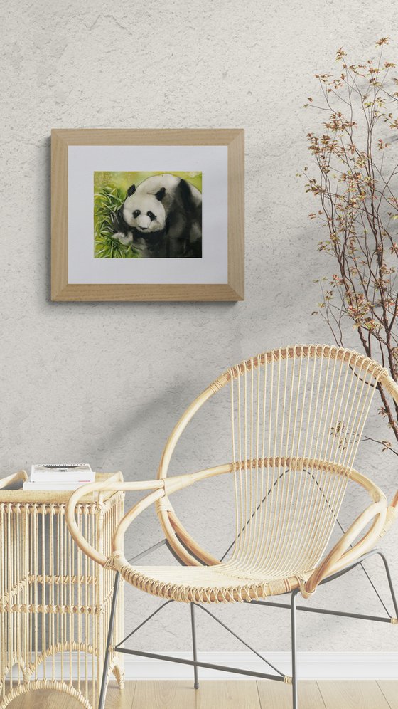 baby panda
