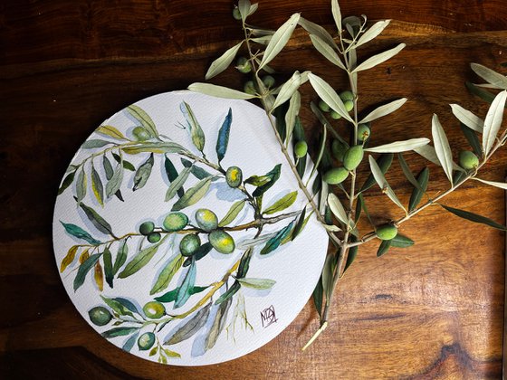 Olive from my garden