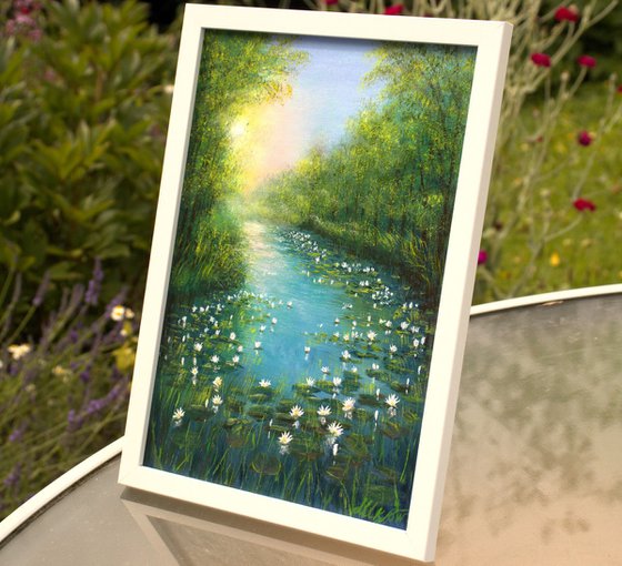 Water lily pond 3