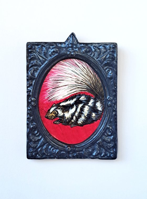 Spotted skunk, part of framed animal miniature series "festum animalium"