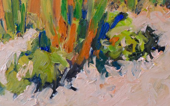 Cactuses in the Desert