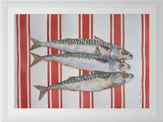 Mackerel on Red